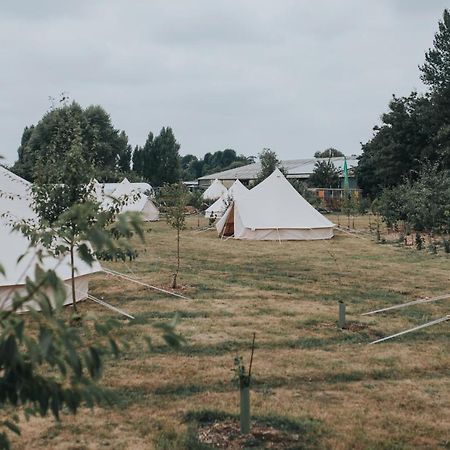 The Holford Arms Chalets And Glamping Hotell Didmarton Eksteriør bilde