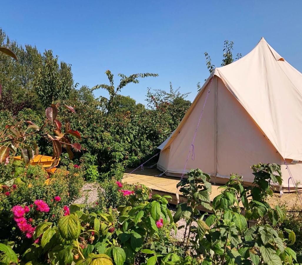The Holford Arms Chalets And Glamping Hotell Didmarton Eksteriør bilde